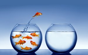 数据库索引统计：更新频率的优化